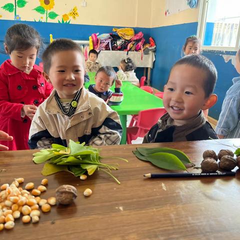 记录幼儿园快乐生活——启明幼儿园十月活动