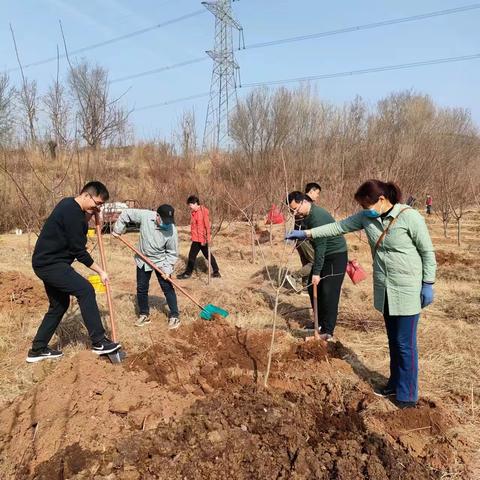 民革济南市钢城区总支部开展“党员学雷锋  拌绿实践站” 义务植树活动