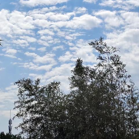 雨停了，太阳就出来了