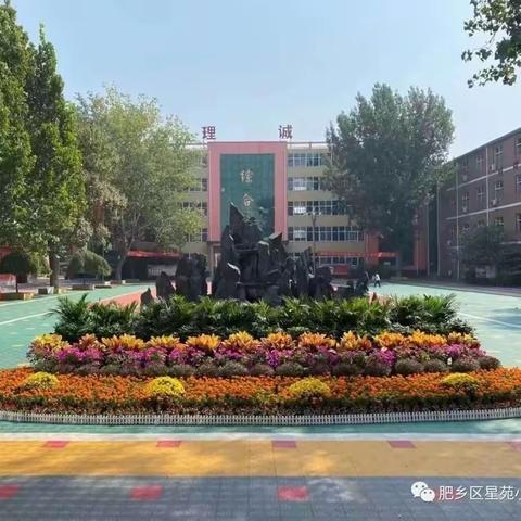 星苑小学四年级“学雷锋，做孝心少年”活动践行中