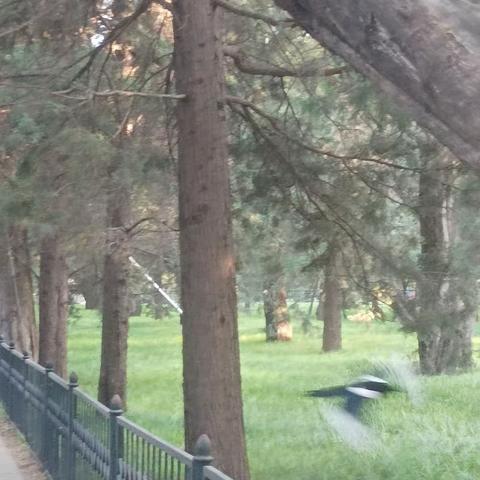 用户382385的文章