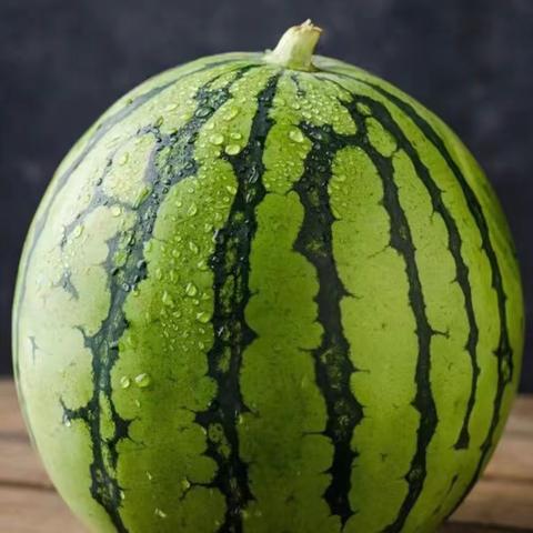 Hi，西瓜🍉