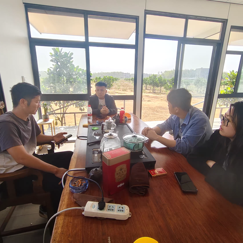 学有所思 研有所获│东成镇产业项目调研之菠萝蜜种植基地。