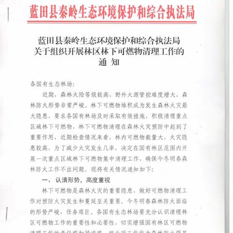 蓝田县秦保局组织开展国有林区林下可燃物集中清理工作