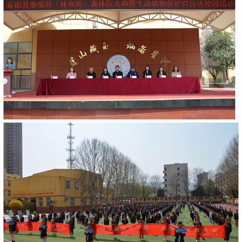 “森林防火进校园，携手共筑安全墙”蓝田县秦保局开展森林防火宣传教育进校园活动