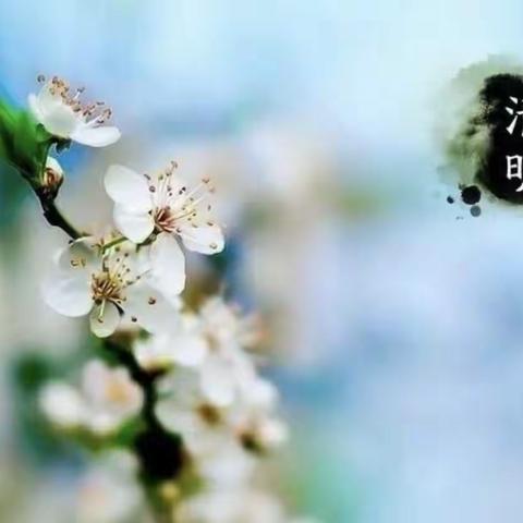 梨花风起正清明-平舆县古槐二小清明节手抄报风采展示