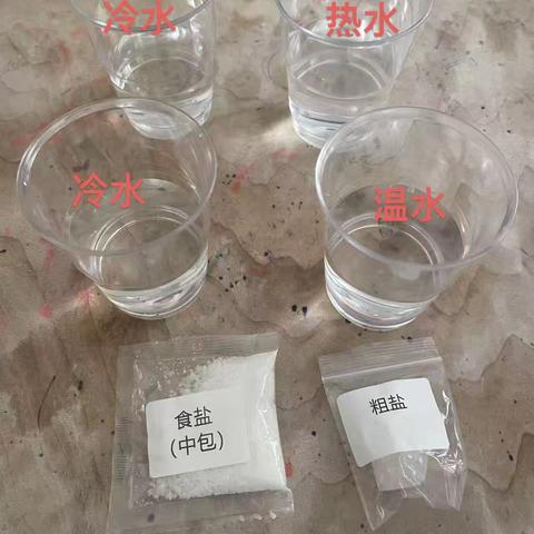 科学小实验《加快溶解》——三年级4班杨芷桐