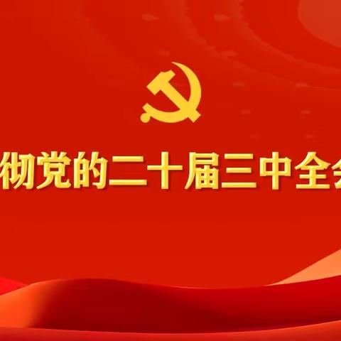 辛村镇深入学习贯彻党的二十届三中全会精神