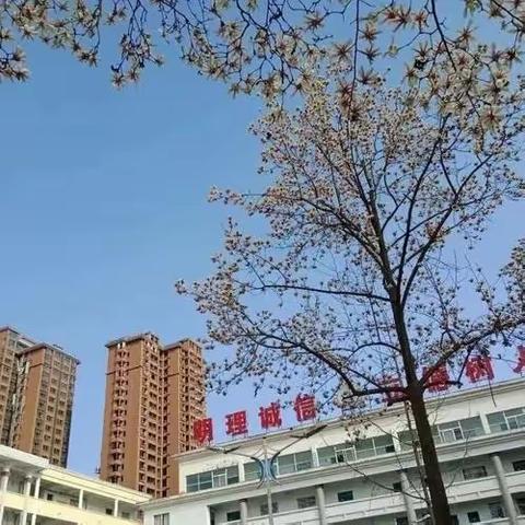 平利县城关第三小学欢庆“三八”国际妇女节掠影