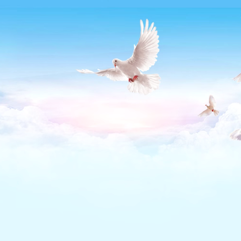 天水市护理质控中心开展护理质量提升专项督导 ‍                    ——甘谷县站