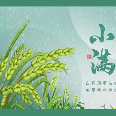 青幼节气播报站——小满