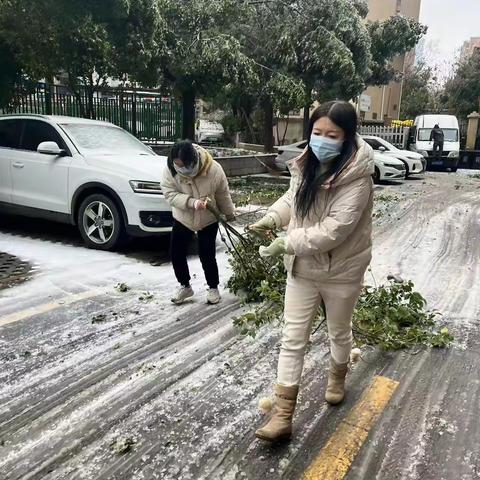 铲雪除冰护平安，暖心慰问解民忧