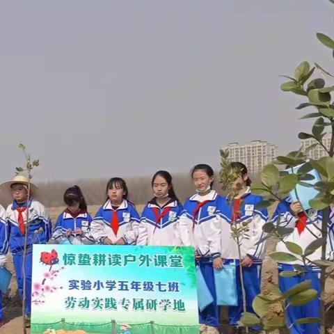 惊蛰耕读研修之旅-----------博兴县实验小学2018级