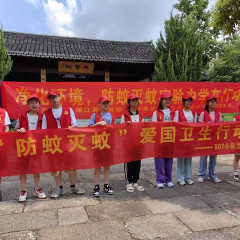 齐动手，防蚊灭蚊保健康