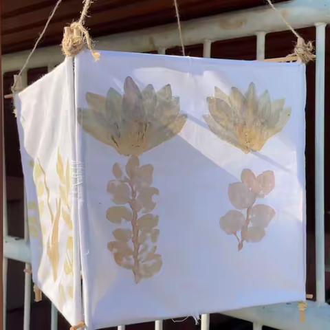 诗词润童心，经典永流传——记大二班秋日诗会