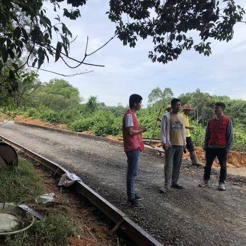 南埠村：打通产业路  铺筑乡村振兴“快车道”