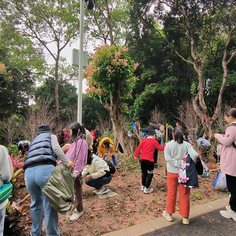 绿水青山就是金山银山 ——深圳市仙桐实验小学参观深圳市水土保持科技示范园小记