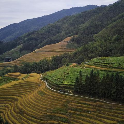 散文：桂林山水甲天下，龙脊梯田稻飘香！