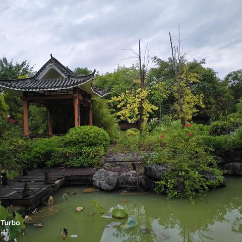 随笔：前半生观世，后半生悦己是对人生的感知与修炼！