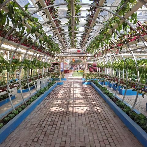 随笔：珍惜此生，放下执念，做一个豁达、乐观之人！