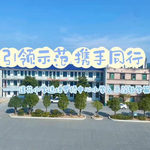 引领示范，携手同行——莲花小学送培罗桥中心小学第三阶段之示范教学