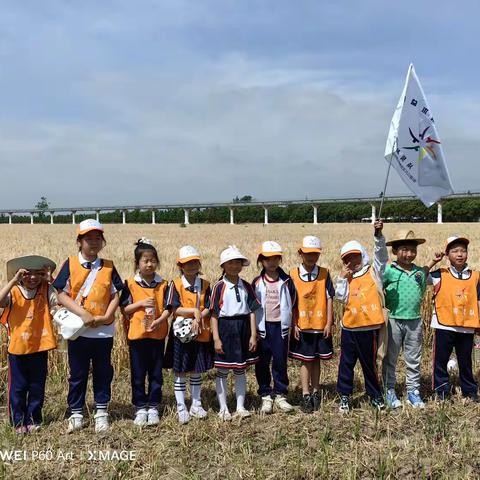 “五月农耕乐，嘉禾牧歌情”——暨杭师大经开附小201班精灵队嘉禾牧歌农场之行