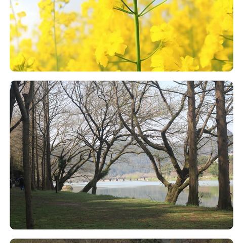 山川有约步履不停 八16班卢柯宇