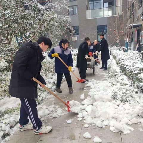 武汉市因遭受较为严重的雪灾天气，社会各级组织和社区力量积极投身抢险救灾工作中，我们汉铁初级中学813班的学子们，积极投身社区除雪破冰行动，努力争当“志愿小铁＂踊跃加入志愿者的行列！