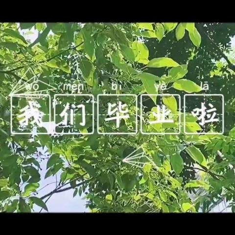 毕业季，毕业照，毕业情——平果市第六小学六（6）班毕业典礼🌾🎓