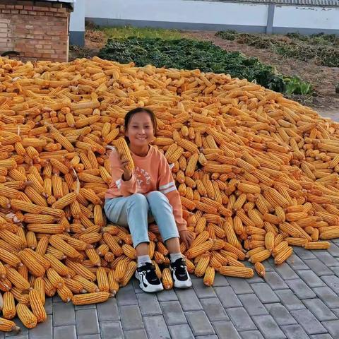 “感受秋收喜悦， 展现劳动风采”——达拉特旗第二小学花儿中队