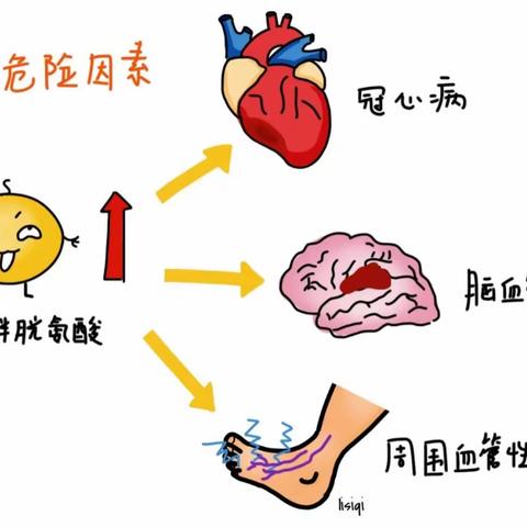 【樊灿—神内二】脑血管病一级预防科普系列之（四）