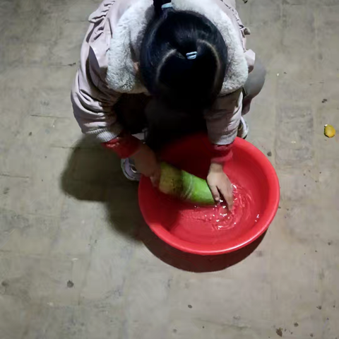 四郎殿小学一年级劳动教育纪实