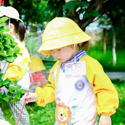 青幼教育和谐生态幼儿园孩子们的户外自主游戏