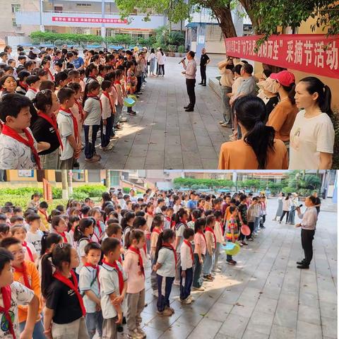 垫江县澄溪小学校2024年春期第二届“向下扎根 向阳而生”劳动实践活动