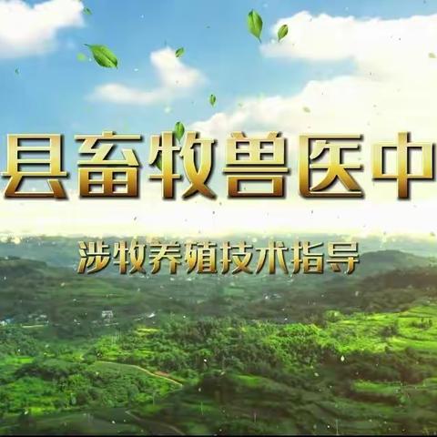 隰县畜牧兽医中心关于对涉牧养殖企业应对低温极端天气的安全防范措施的技术指导