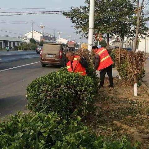 初秋时节，故城公路站为进一步巩固提升路域环境整治成果，围绕路面保洁，路肩整修，病害处治，绿化管护等工作，持续深化提升路容路貌，全力打造“畅安舒美””的交通环境。