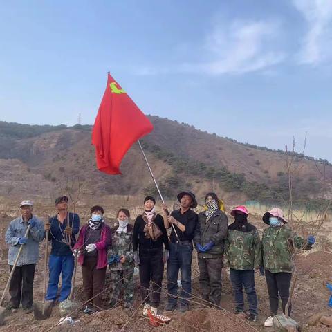 双塔山镇下店子村：植树添绿先锋行 共促乡村经济兴