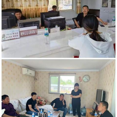 双塔山镇：人才引进强产业，乡村创业促振兴