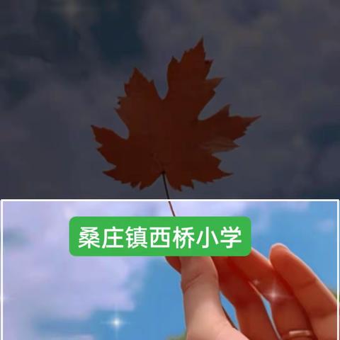 桑庄镇西桥小学