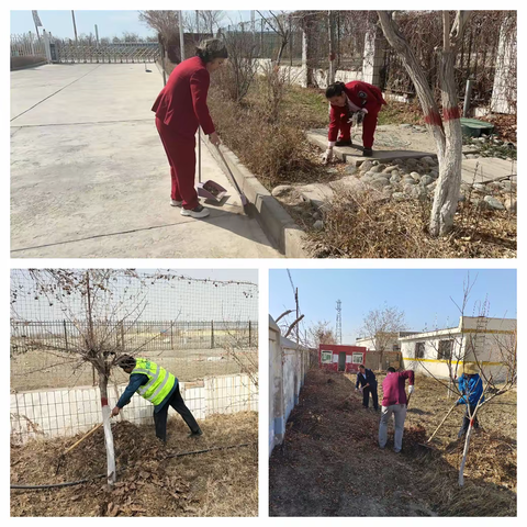 珍惜时节，不负春光，为站容添彩-和硕匝道收费站积极投入春季绿化养护工作