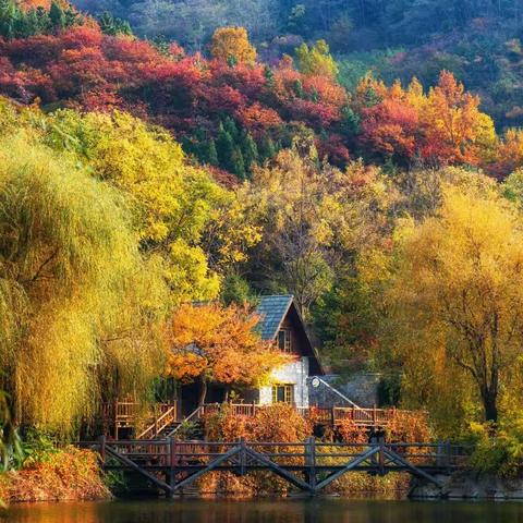 友好国旅-济南九如山红枫节