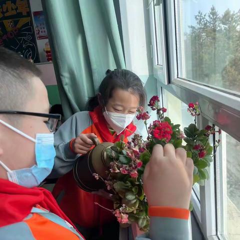 阿勒泰实验小学开展3.12植树节“美化教室，共植绿色”--共种民族团结一盆花活动