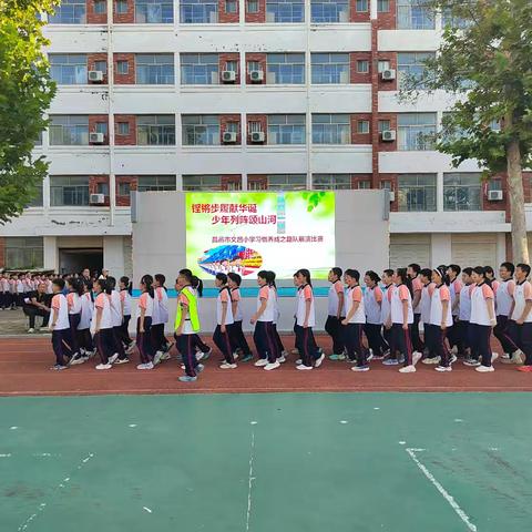 多元活动赋能成长：学期工作总结