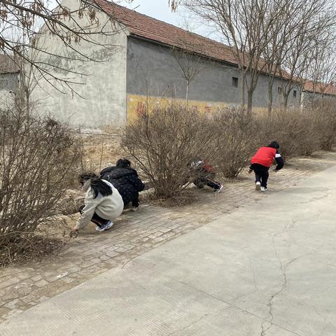 学习雷锋精神 争当新时代文明好少年 渤海路街道杨习武小学开展学雷锋系列活动