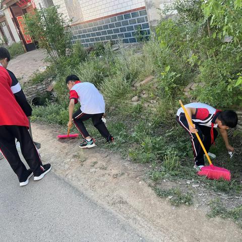 小手拉大手，我为美好家园添份力 ---渤海路街道杨习武小学少先队在行动