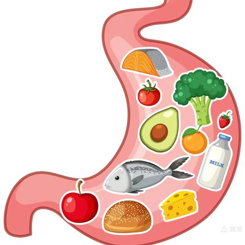 【双十行动系列】“胃”健康助力——双山医院开展胃肠充盈超声检查项目