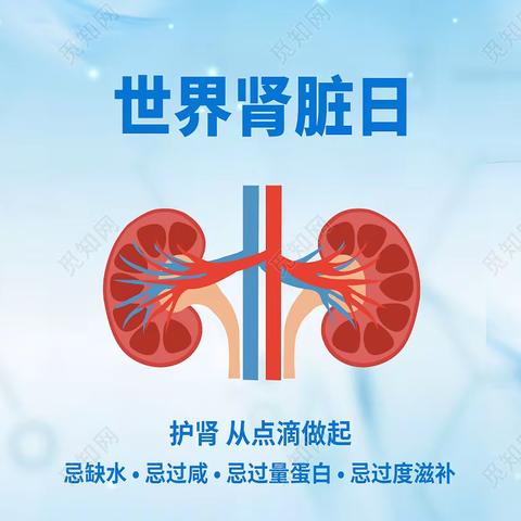 【义诊通知】黄梅县人民医院2023年世界肾脏日义诊活动通知