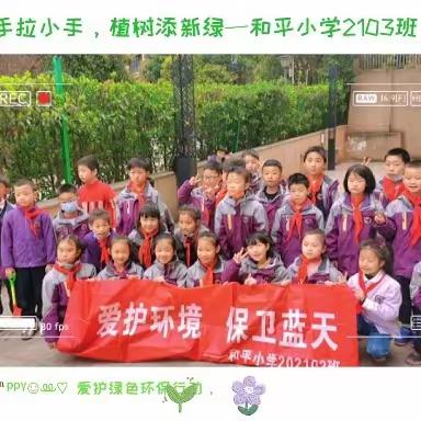 3.12植树节，和平小学2103班同学们举行大手拉小手，参与爱绿，护绿行动，正当“环保小卫士”活动。