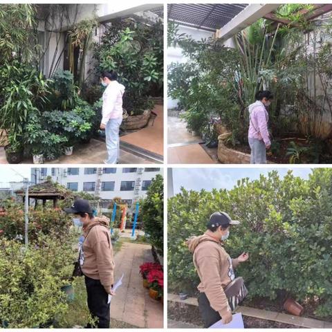 大同街道友谊社区开展非法种植毒品原植物排查专项行动