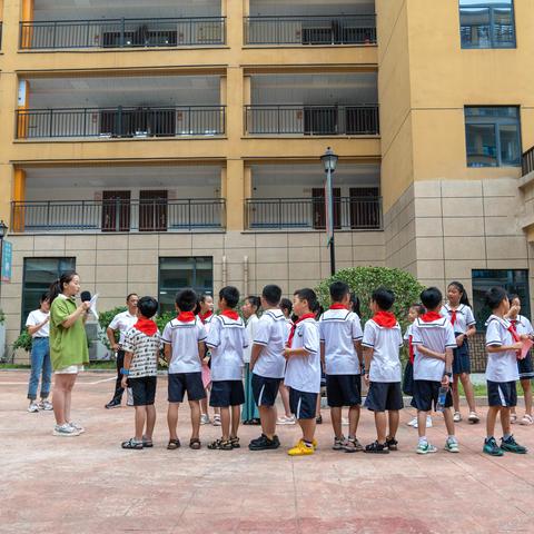 宁乡市实验小学248班暑期社会实践活动